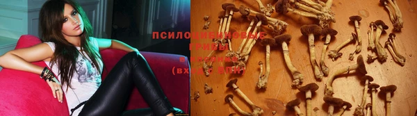 герыч Бугульма